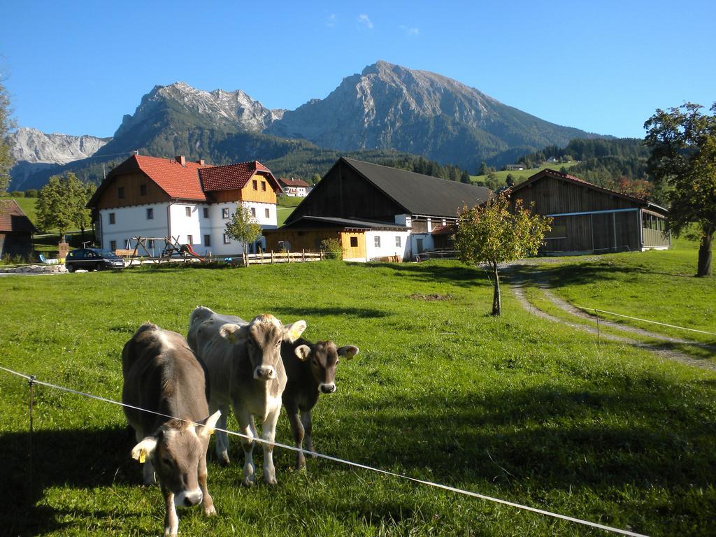 Bio-urlaubshof Dansbach * Spital Am Pyhrn