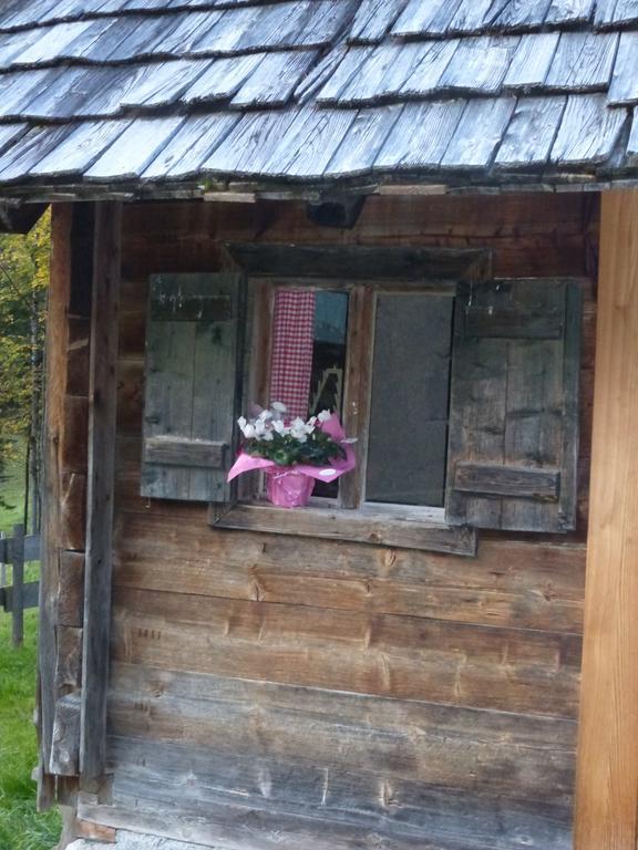 Bio-urlaubshof Dansbach Farm stay