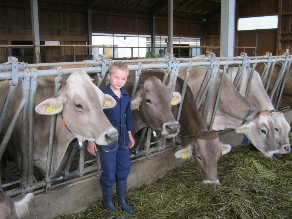 Bio-urlaubshof Dansbach Farm stay *
