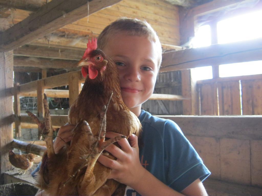 Farm stay Bio-urlaubshof Dansbach *