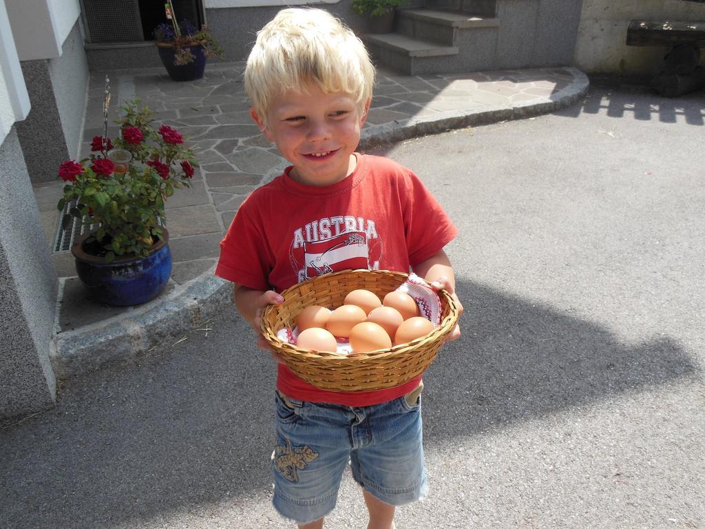 Farm stay Bio-urlaubshof Dansbach Spital Am Pyhrn