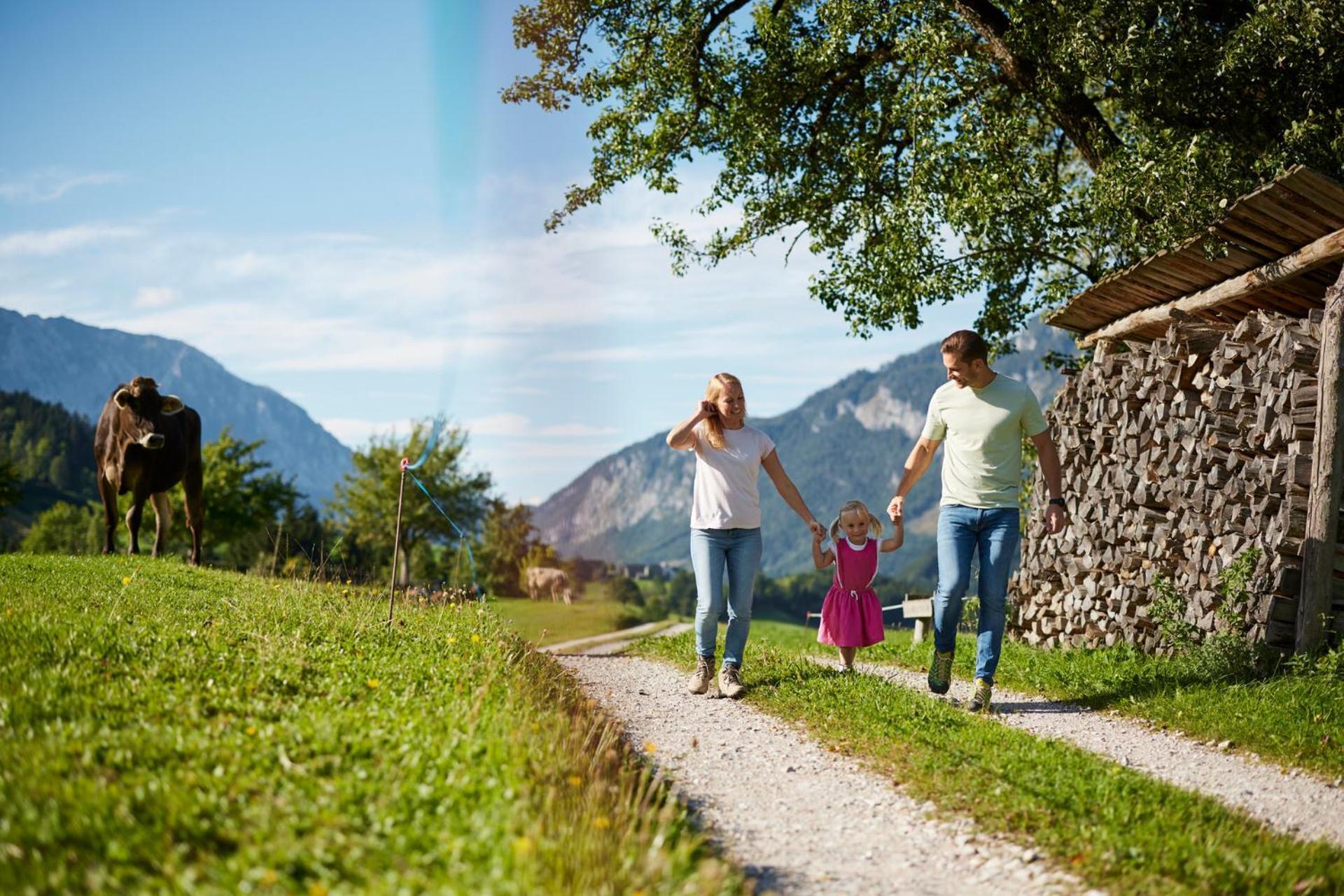 Farm stay Bio-urlaubshof Dansbach *