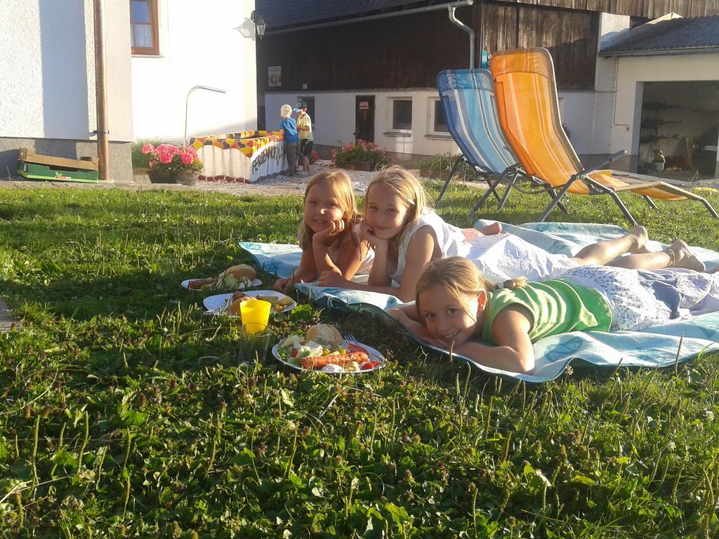 Bio-urlaubshof Dansbach Farm stay